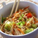 Chinese Salad of Chinese Noodles with Broccoli and Sprouts Appetizer