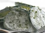 Hungarian Cucumber in Sour Cream Salad 3 Appetizer