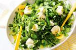 American Spring Broad Bean Salad Recipe Appetizer