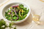 American Fresh Multibean Salad with Charred Red Onion Recipe Appetizer