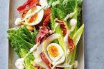 American Classic Caesar Salad Recipe 3 Appetizer