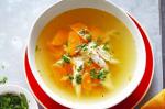 American Feelgood Chicken Soup Recipe Appetizer