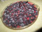 American Red White and Blueberry Pie 1 Dessert