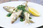 American Small Grilled Fish Recipe Appetizer
