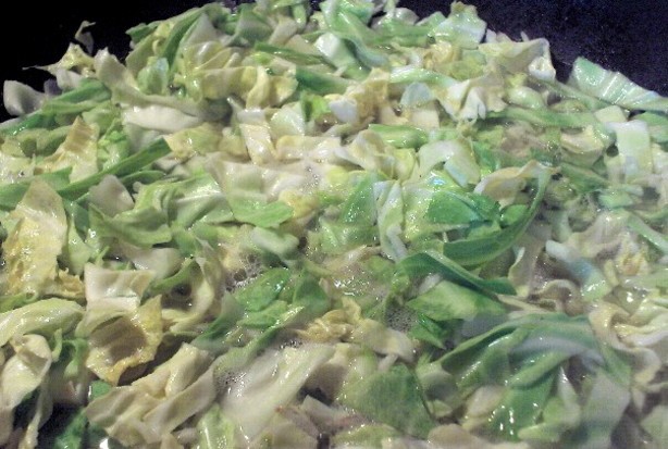 American Bohemian Sweet and Sour Cabbage Appetizer