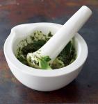 Canadian Spinachbasil Pesto Recipe Appetizer