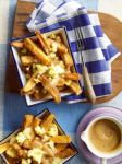 Canadian Fries with Gravy and Cheese Curds poutine Appetizer