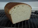 Sourdough Oatmeal Potato Bread recipe