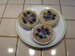 American Easiest and Best blueberrycoconut Tarts Dessert
