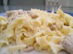 American Quick and Easy Chicken in a Parmesan White Sauce Dinner