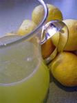 American Lemonade Aussie Style Appetizer