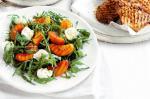 British Grilled Peach And Nectarine Salad With Pork Cutlets Recipe Dinner