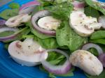 American Mushroom Spinach Salad Appetizer