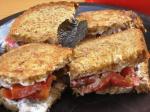 American Nopress Panini With Mozzarella Roasted Red Pepper and Basil Appetizer