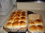 American Southern Butter Rolls 3 Appetizer
