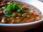 Indian Crock Pot Curried Lentil Soup Dinner