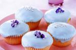 Canadian Glaceiced Cupcakes With Sugared Violets Recipe Dessert