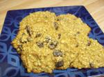 British Healthy Oatmeal Cookies 9 Dessert