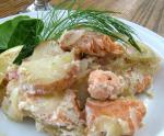 American Saucy Salmon Fennel and Potato Gratin Dauphinoise Appetizer