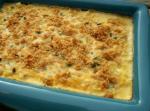 American Golden Potato Casserole 1 Appetizer