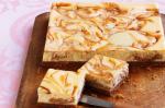 American Swirl Cheesecake Recipe Dessert