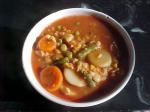 American So Simple I Can Make It  Vegetable Soup Appetizer