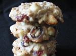 Chinese Orange Cranberry Oatmeal Cookies Dessert