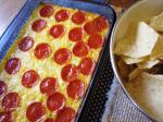 American Aunt Nancys Famous Hot Cheese Dip Appetizer