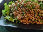American Lentil and Spinach Salad With Onion Cumin and Garlic Appetizer
