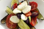 American Roasted Vegetable Salad Recipe 4 Appetizer