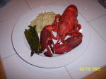 American Boiled Maine Lobster Dinner