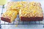 American Lemon and Almond Cake With Pine Nuts Recipe Dessert