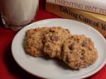 Canadian Chewy Chocolate Chip Oatmeal Cookies Dessert