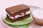 American Chocolate Sponge Squares Recipe Dessert