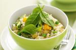 American Microwave Vegetable Risotto Recipe Appetizer