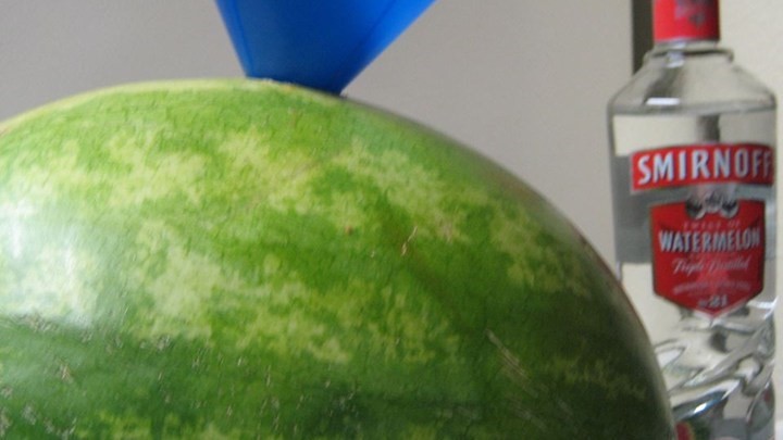 American Adult Watermelon for Bbqs Recipe Appetizer