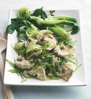 Singaporean Asian Chicken Salad with Bok Choy Dinner