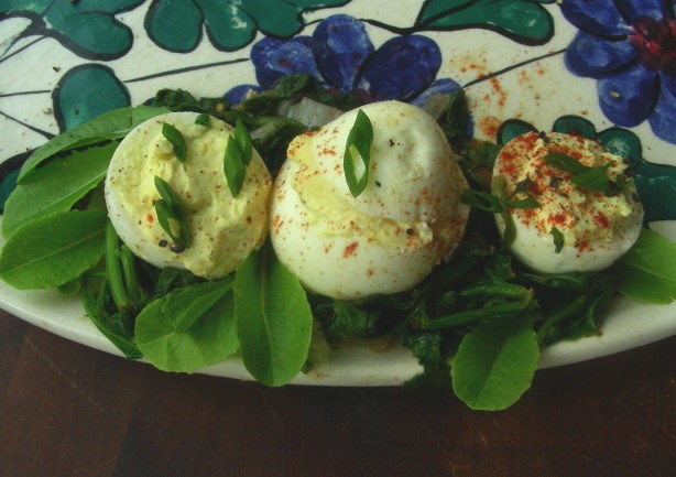 Arabic Stuffed Eggs Beyth Mahshi Appetizer