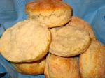 American Low Cholesterol Biscuits Appetizer