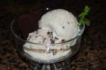 British Unbelievable Healthy Andes Mint Chocolate Chip Ice Cream Machine Dessert