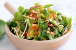 American Asianstyle Chopped Salad Recipe Appetizer