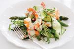 American Prawn and Asparagus Salad Recipe Appetizer