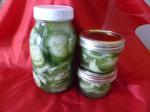 American Refrigerator Dill Pickles 6 Appetizer