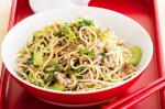 American Pork Chow Mein Noodles Recipe Appetizer