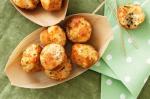 American Three Cheese Mini Muffins Recipe Dessert
