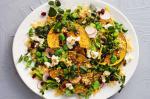 Quinoa Pumpkin And Broad Bean Salad Recipe recipe