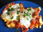 Iranian/Persian Persian Eggs Poached in Tomato Sauce Appetizer