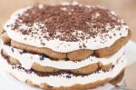 Italian Chocolate Berry Tiramisu Cake Recipe Dessert