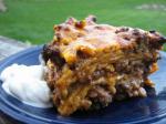 Mexican Mexican Layered Ground Beef Enchiladas Appetizer