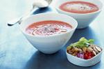 American Andalusian Gazpacho Recipe Appetizer